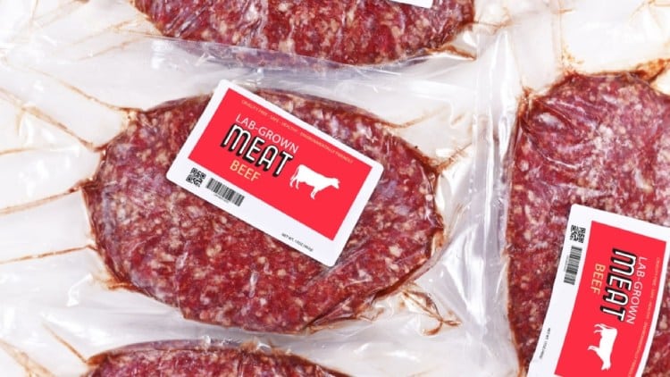 Is The Answer To Saving the Earth in Lab-Grown Meat?